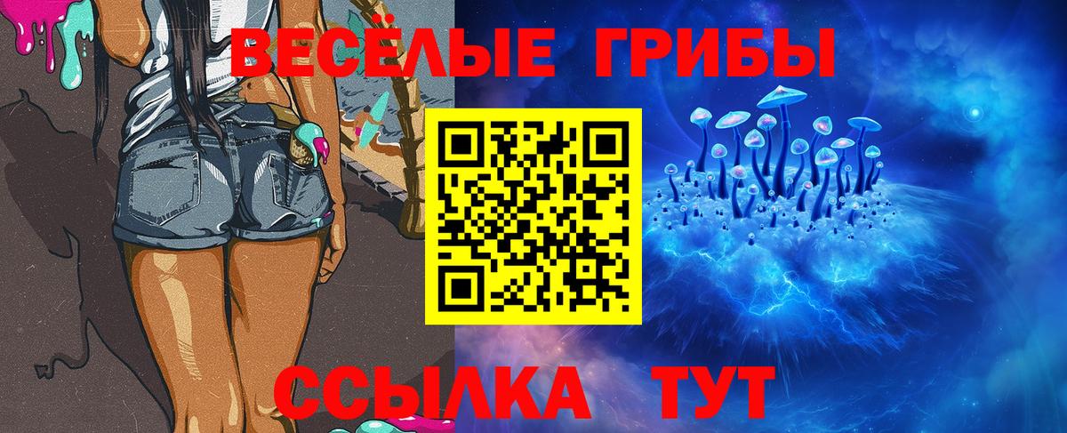Псилоцибиновые грибы Cubensis Северобайкальск